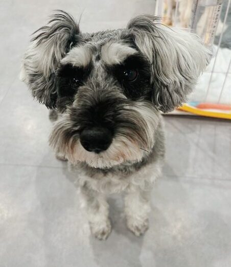 さんゆうていの画像1