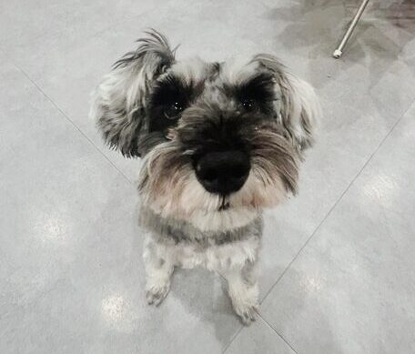 さんゆうていの画像3