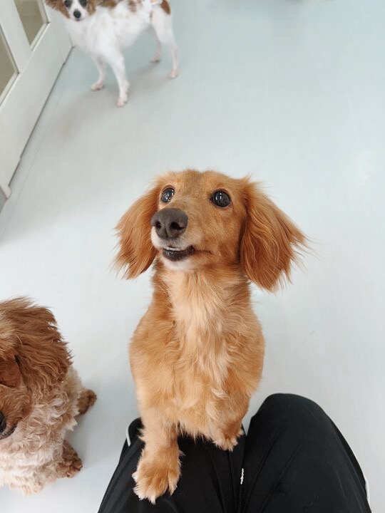 まさよしの画像3