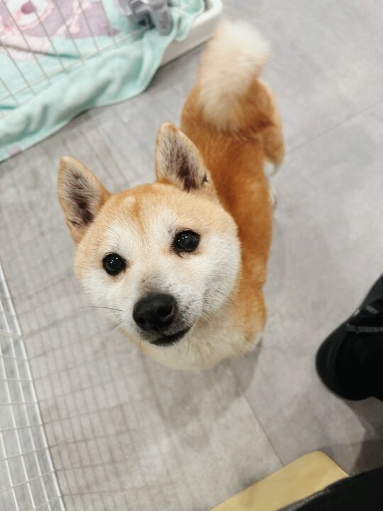 カリフォルニアの画像3