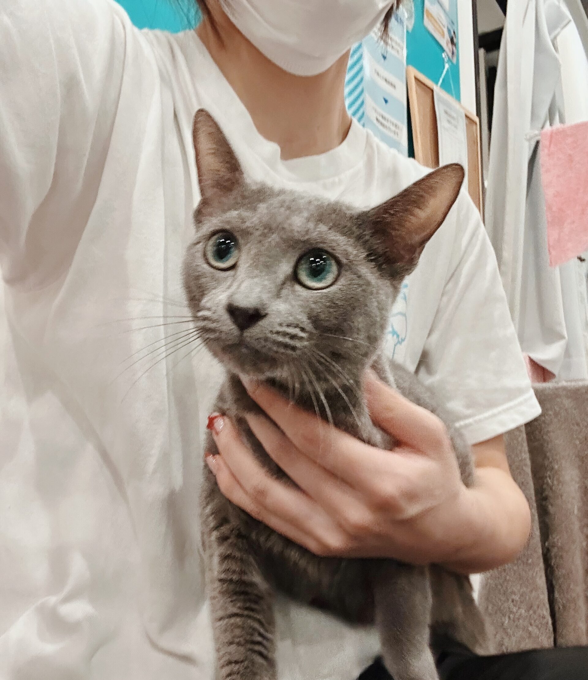 こうらくの画像3