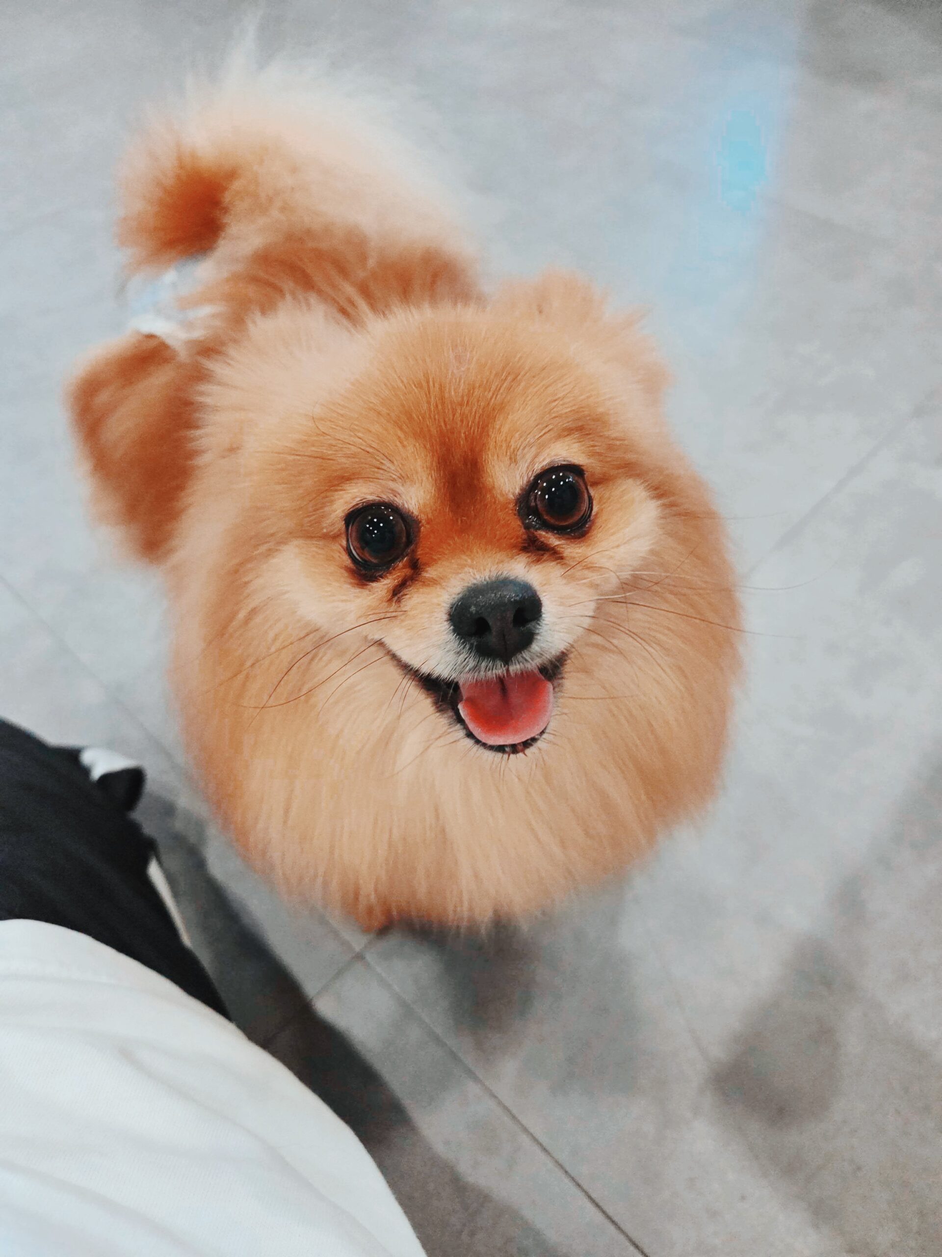 フロリダの画像3