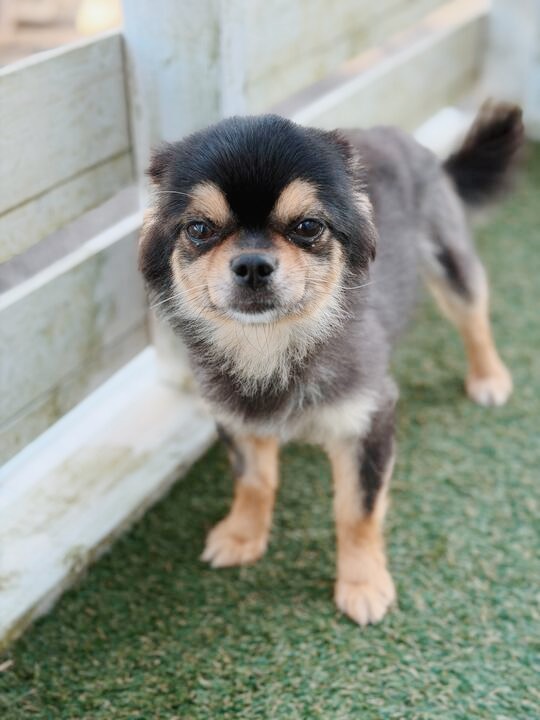 きたかみの画像3