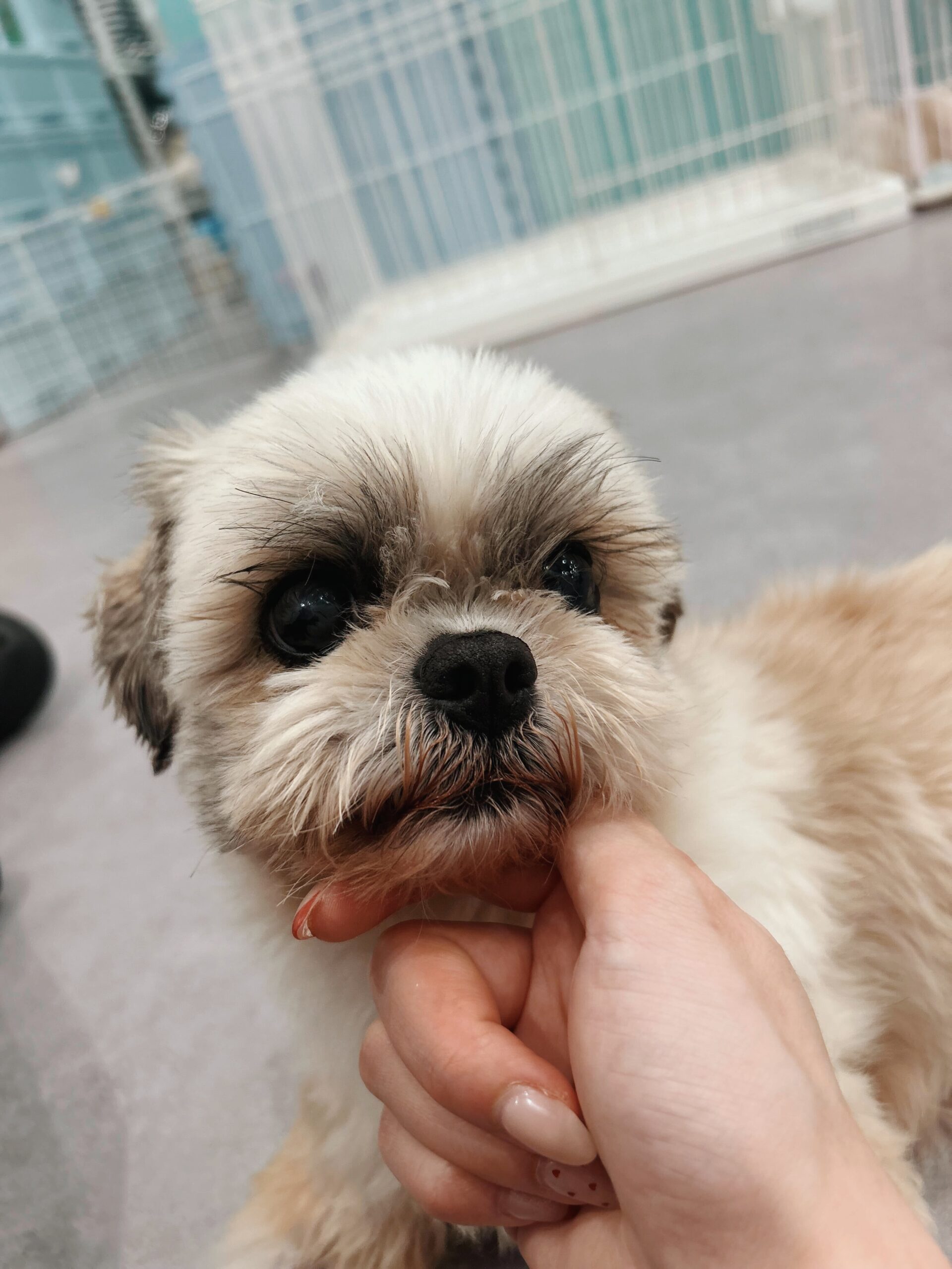 ペンシルベニアの画像1