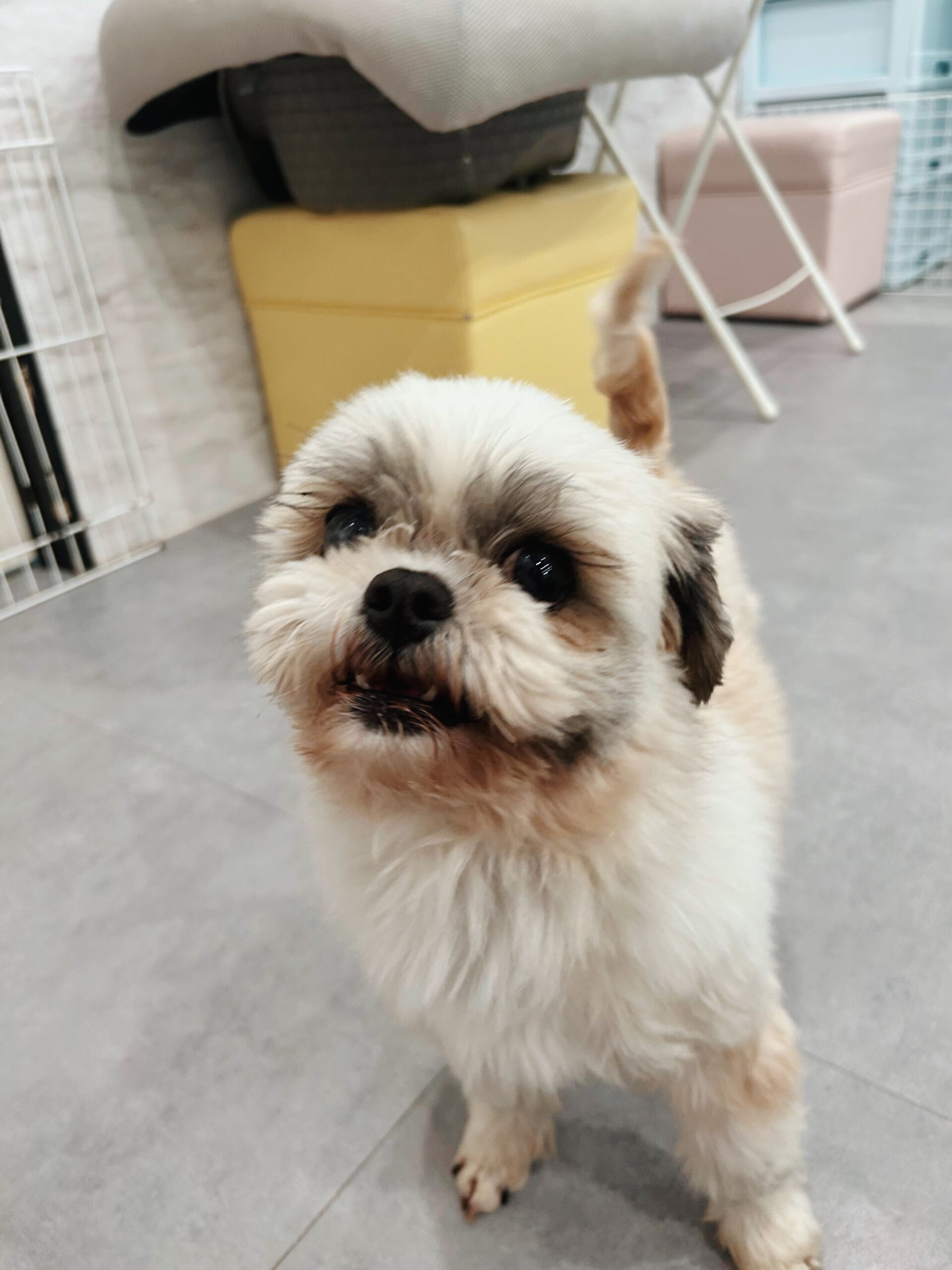 ペンシルベニアの画像2