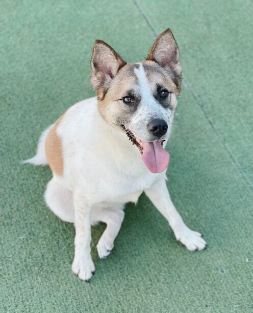 リーナベルの画像1