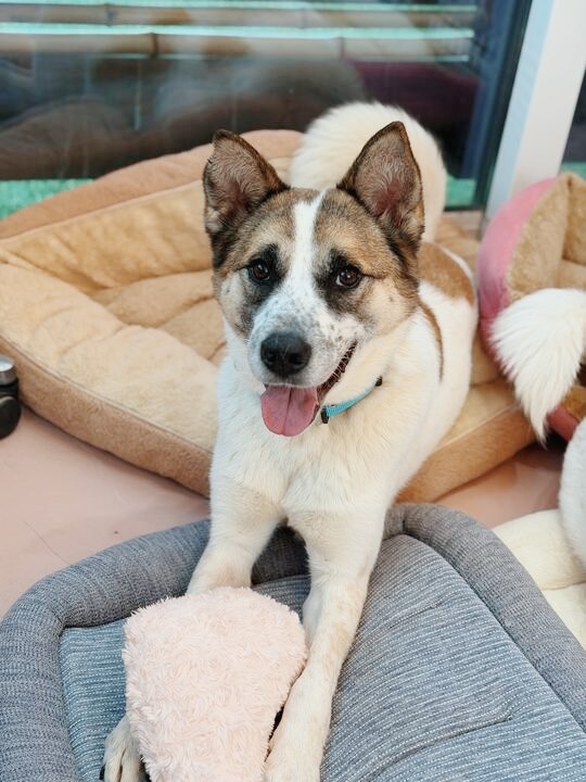 リーナベルの画像3