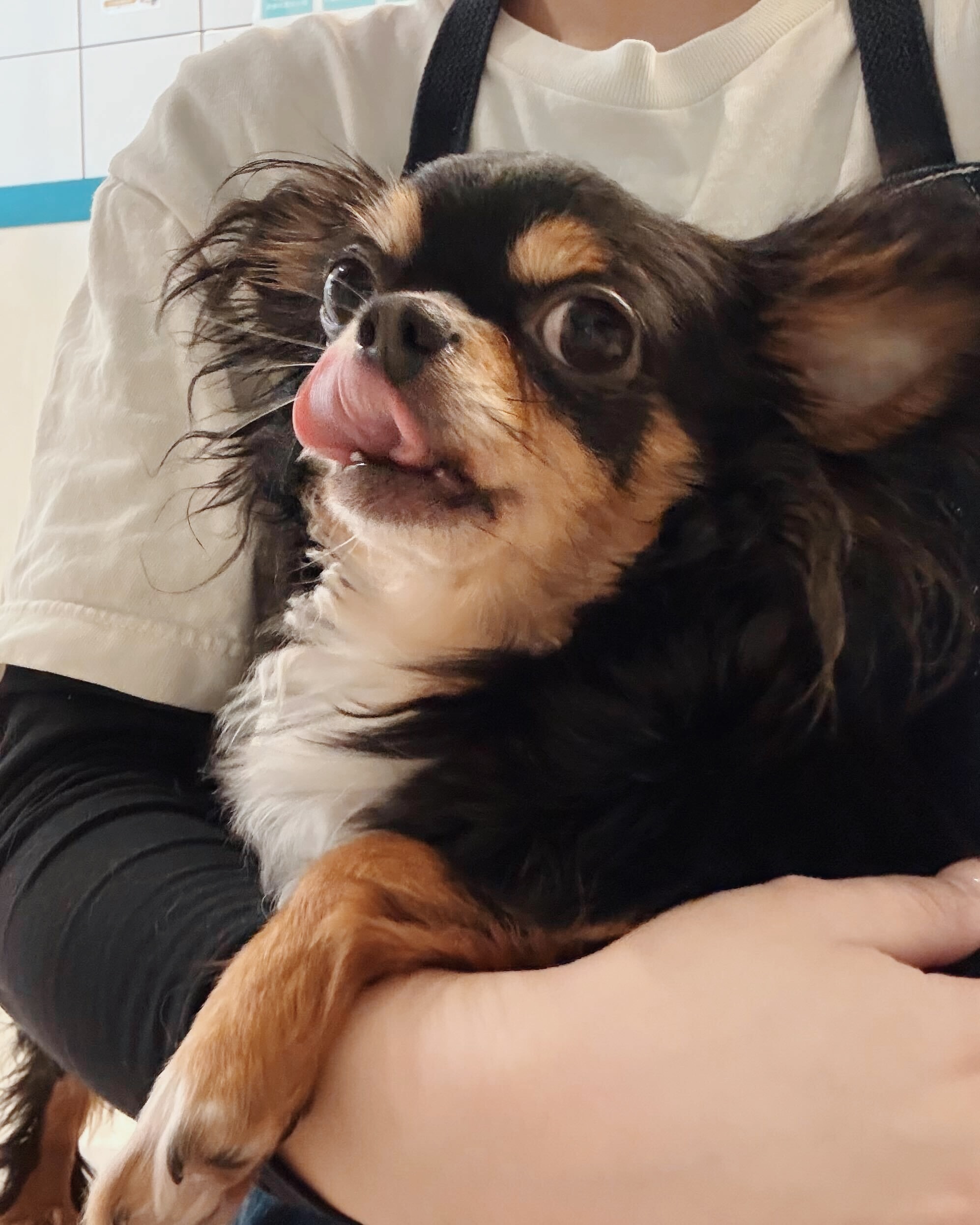 グラッパの画像1