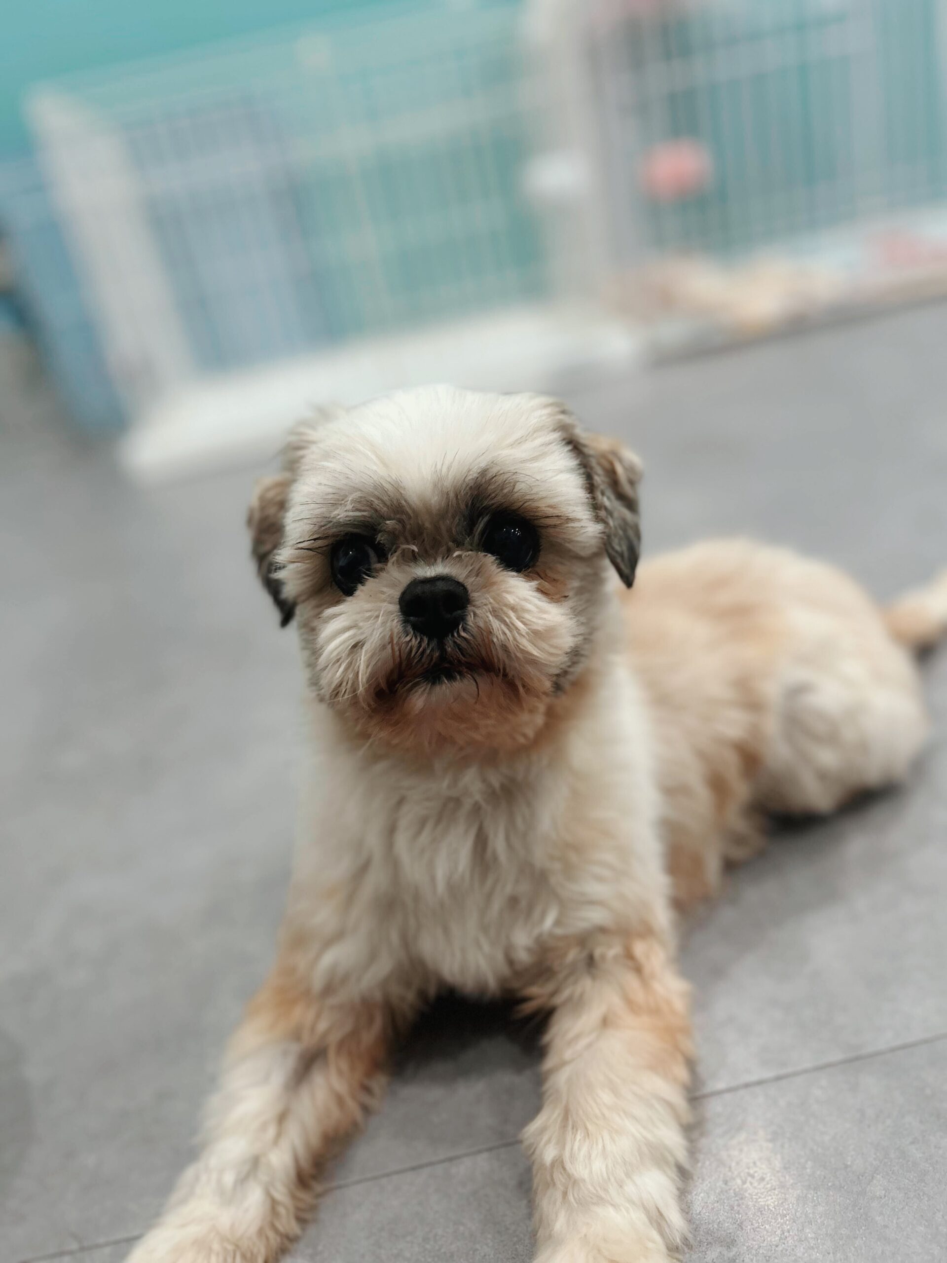 ペンシルベニアの画像3