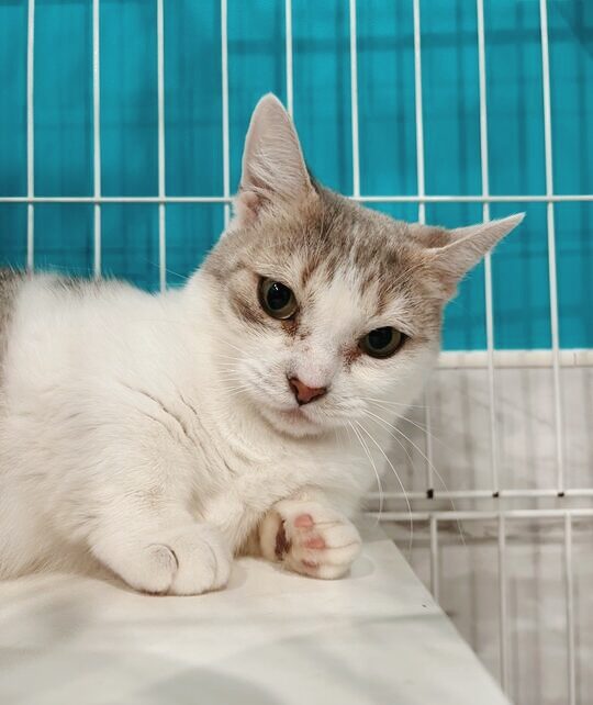 サンサンの画像3