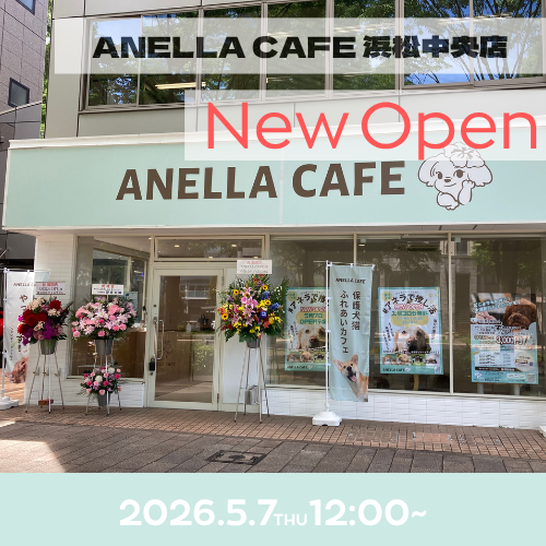 ANELLA CAFE  <p>浜松中央店</p>
