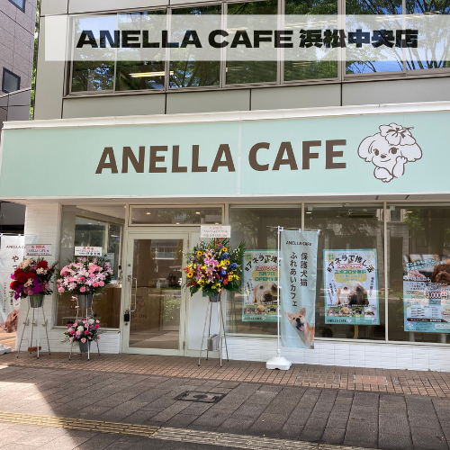 ANELLA CAFE  <p>浜松中央店</p>