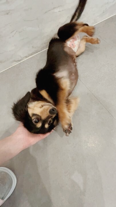 かおりのの画像3
