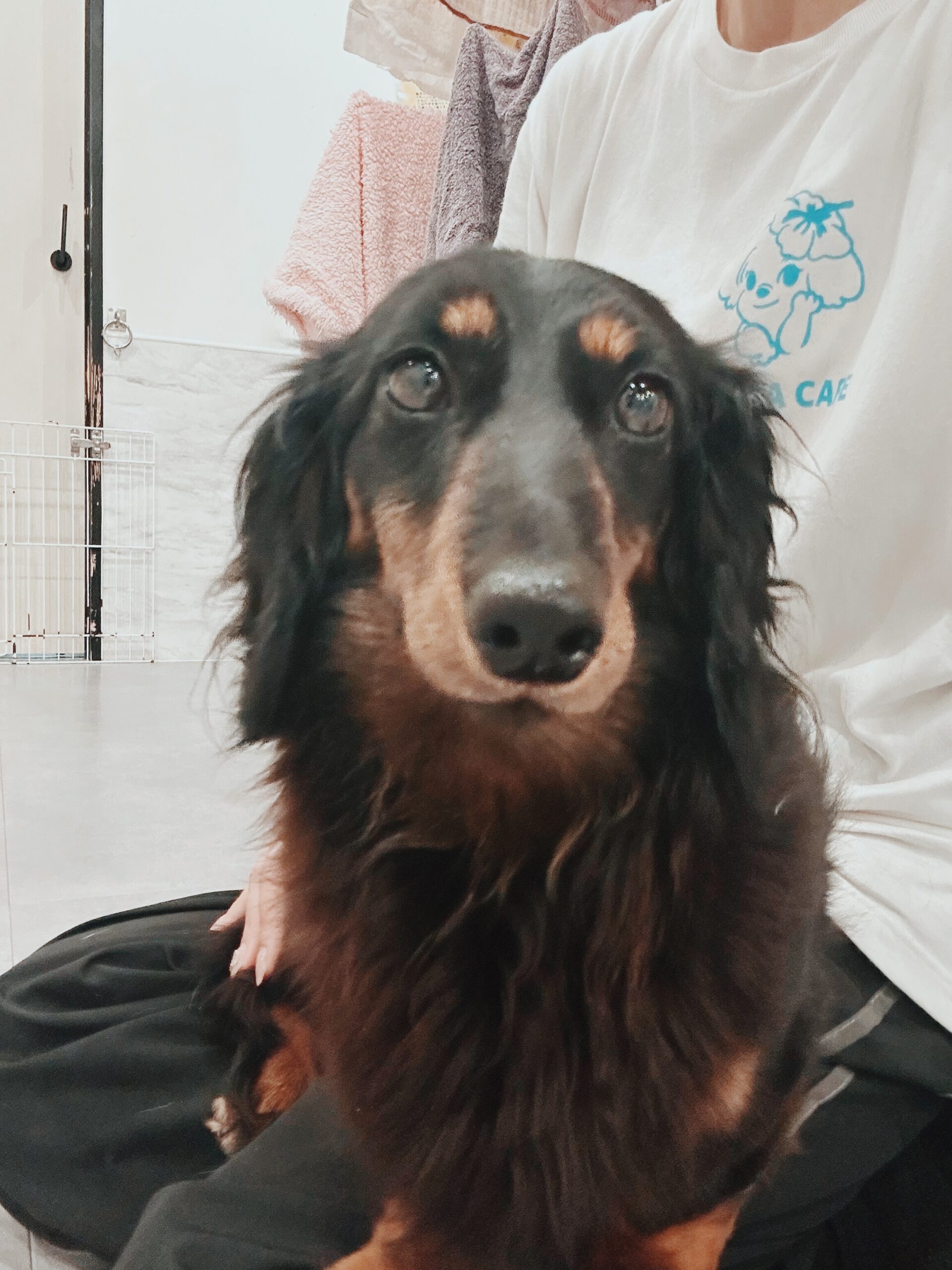 みろくの画像2