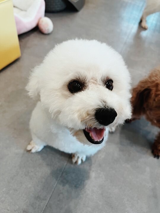 あまりんの画像2