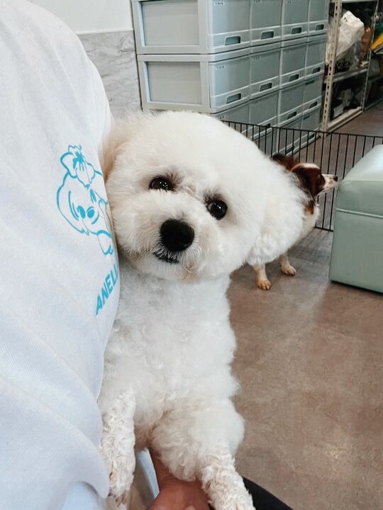あまりんの画像1
