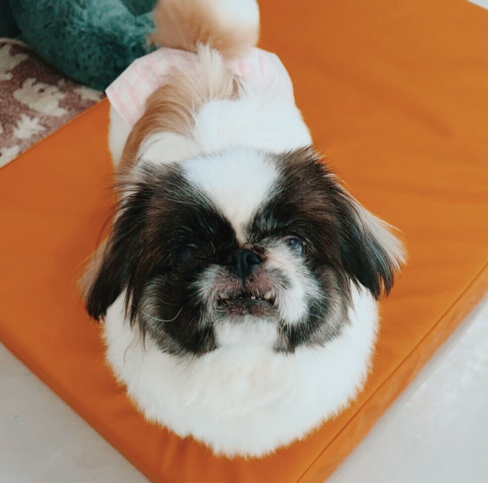 フェユナの画像1