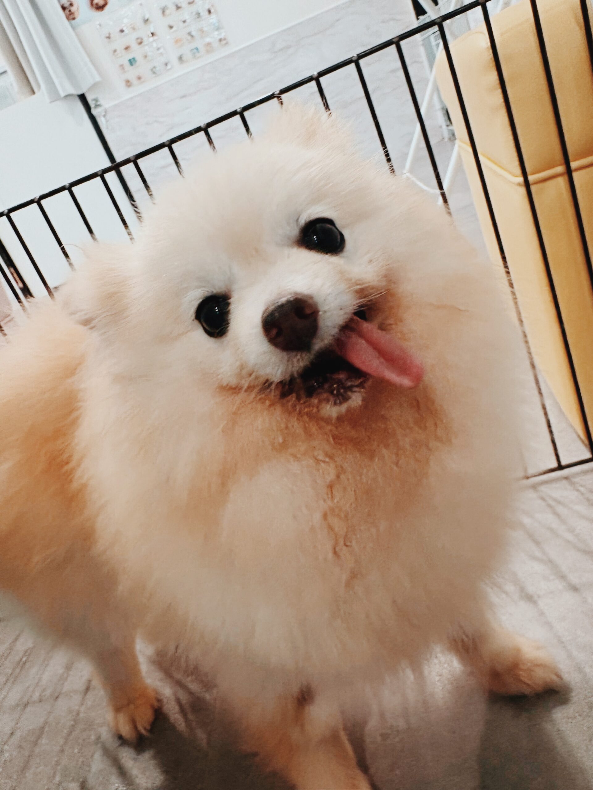 味の素の画像3