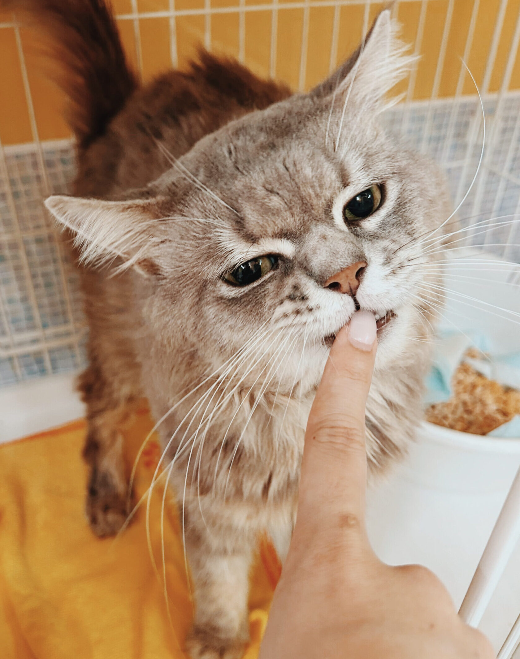 メルペイの画像3
