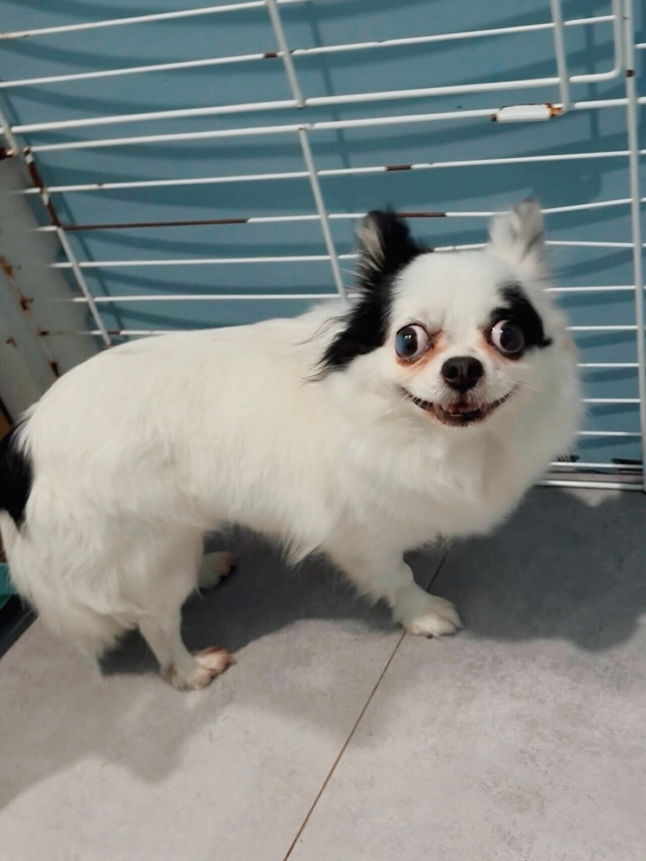 フォークの画像3