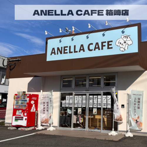 ANELLA CAFE  <p>箱崎店</p>