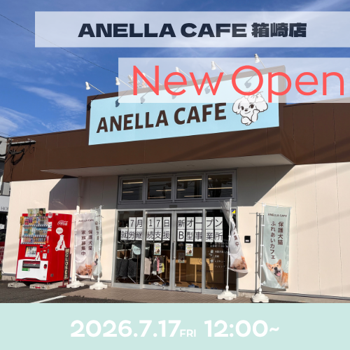 ANELLA CAFE  <p>箱崎店</p>