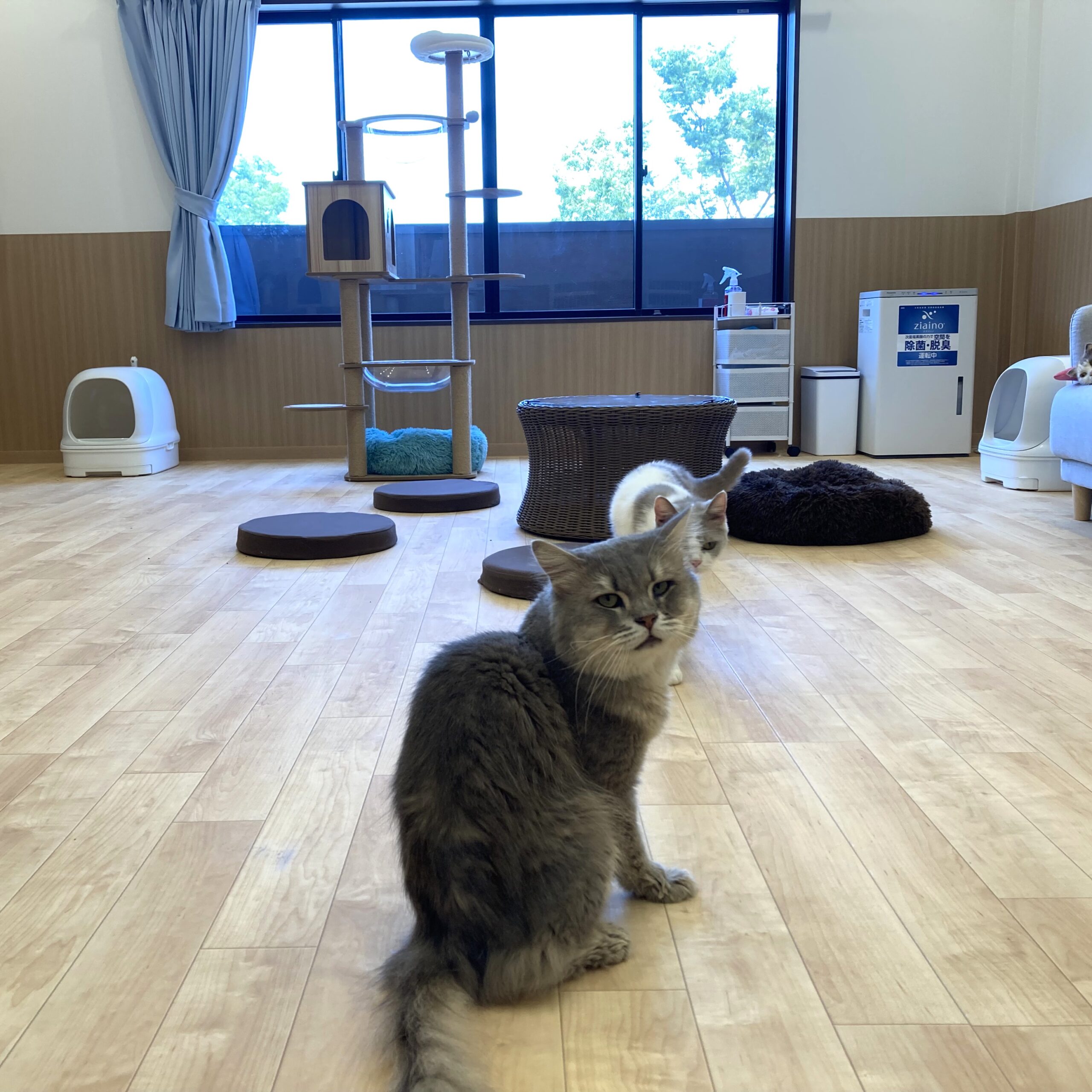 画像5