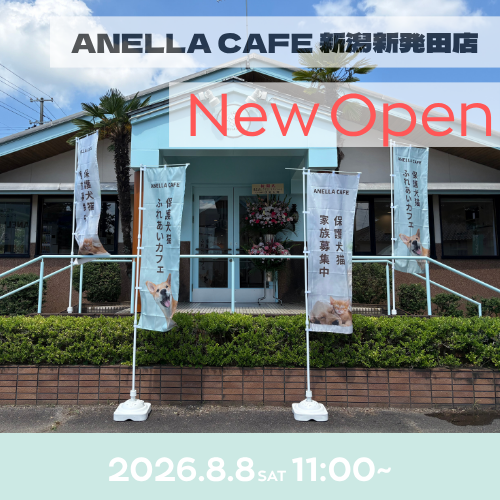 ANELLA CAFE  <p>新潟新発田店</p>