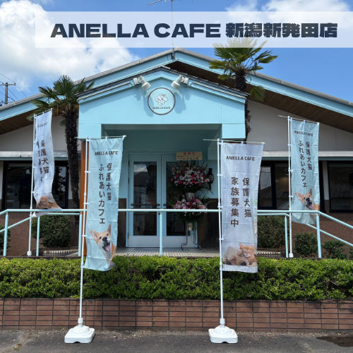 ANELLA CAFE  <p>新潟新発田店</p>