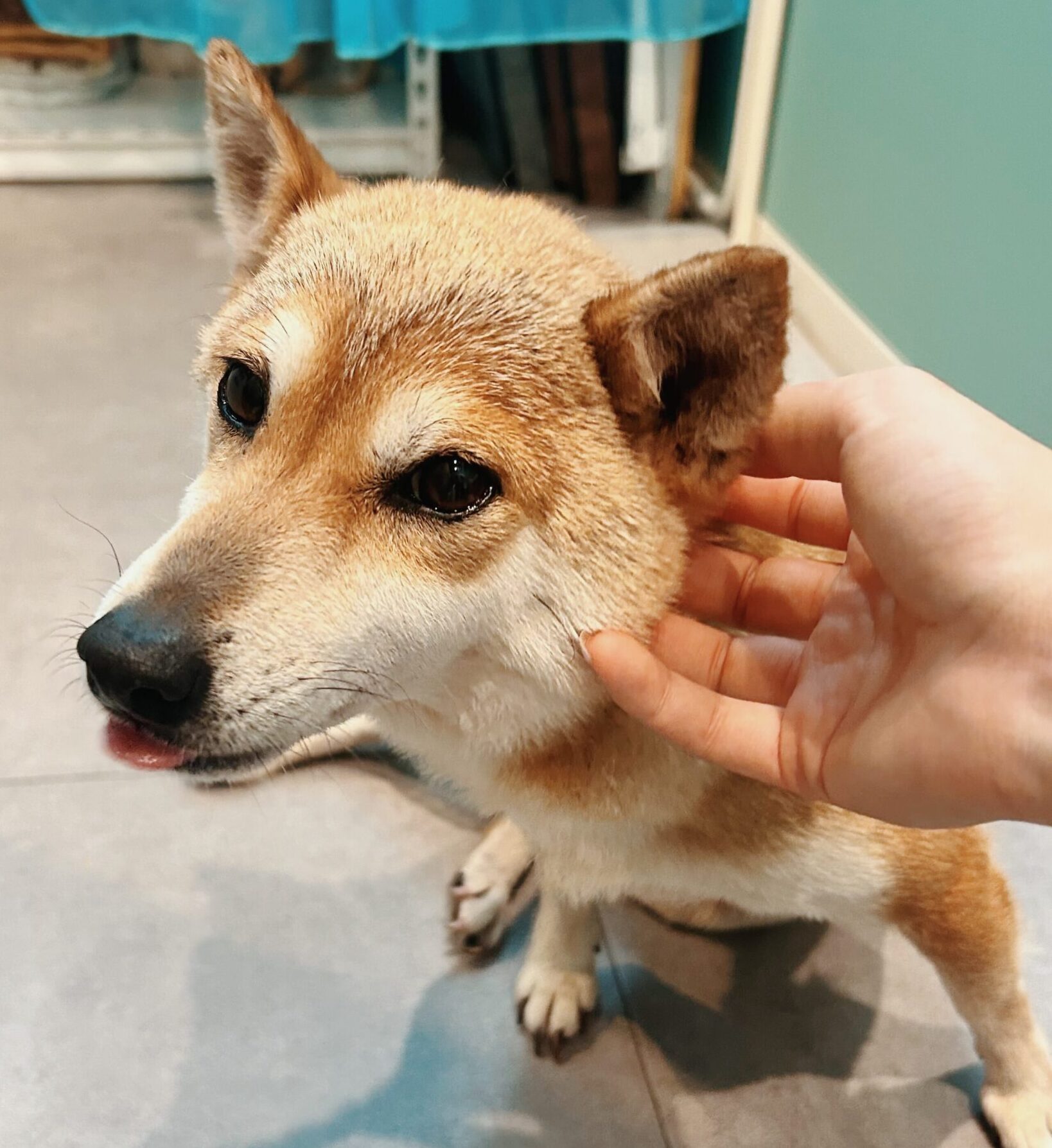 りくの画像3
