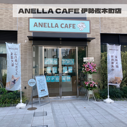 ANELLA CAFE  <p>伊勢佐木町店</p>