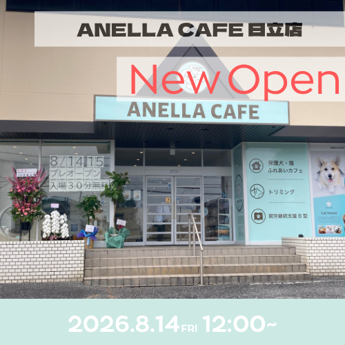 ANELLA CAFE  <p>日立店</p>