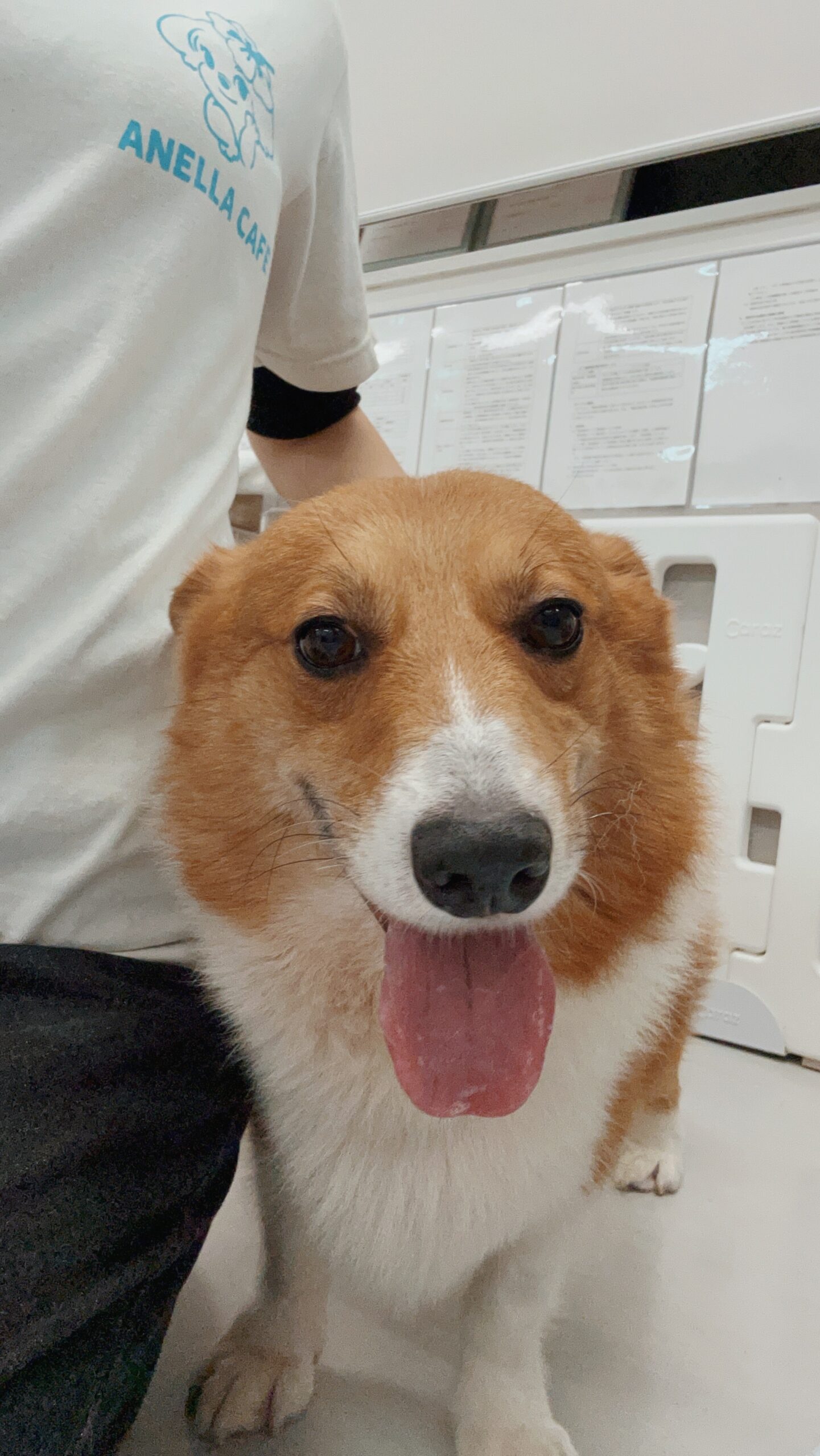 ほくさいの画像3