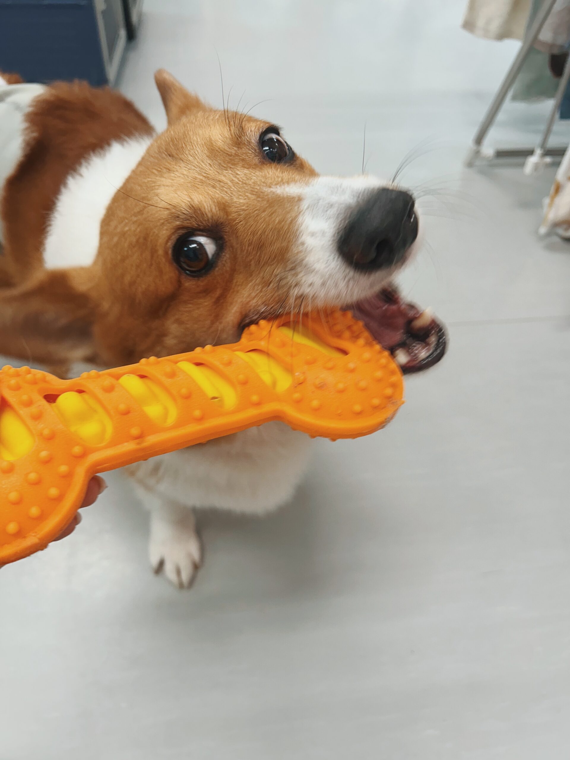 ほくさいの画像1