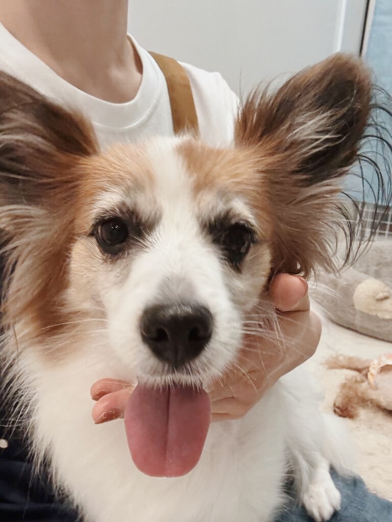 グリムラハの画像1