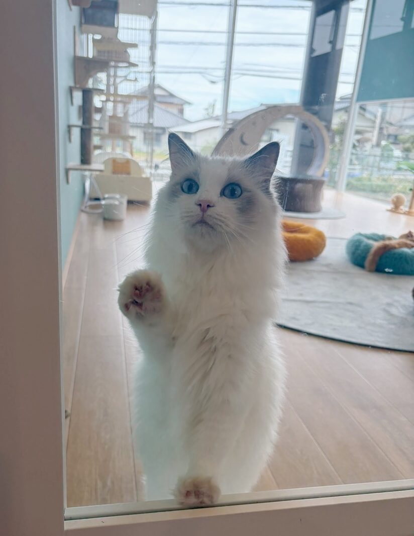 ヴォクシーの画像3