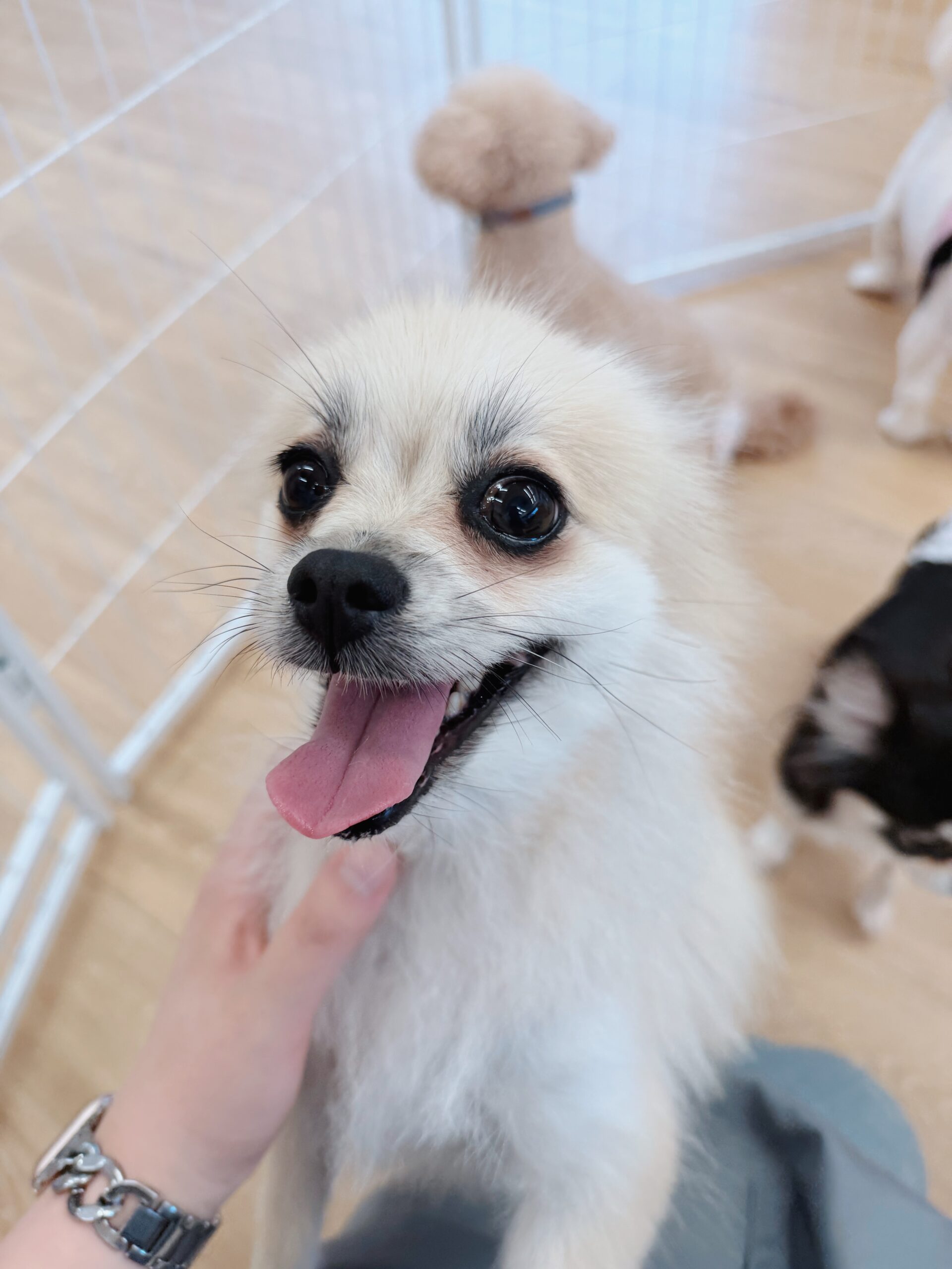 たけのこの画像2
