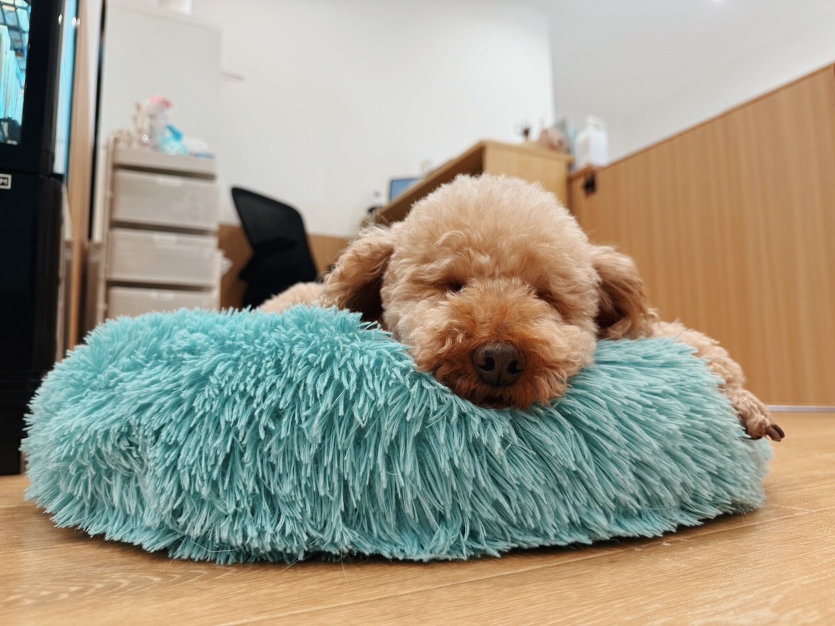 ソユーズの画像1