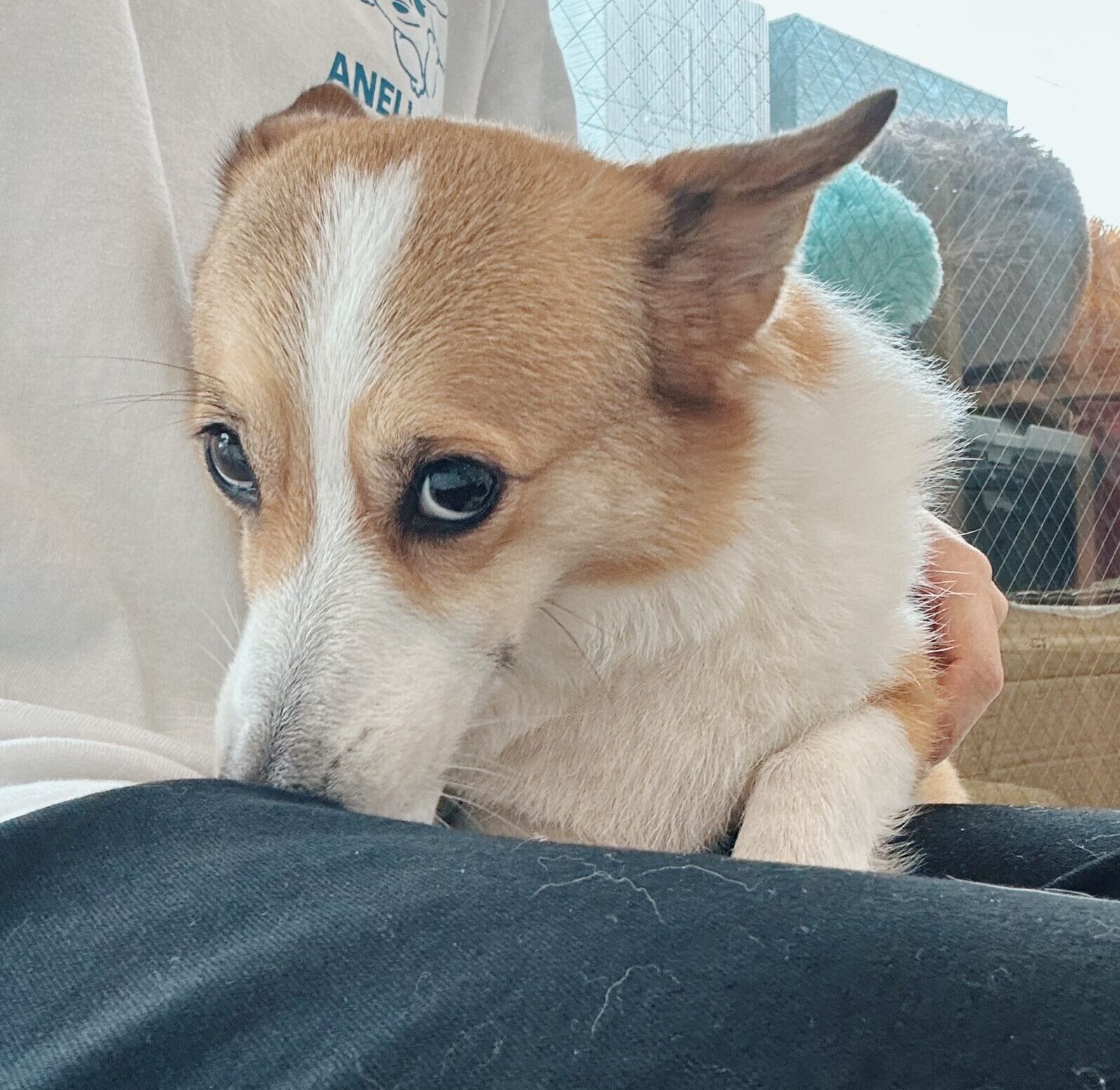 はづきの画像2