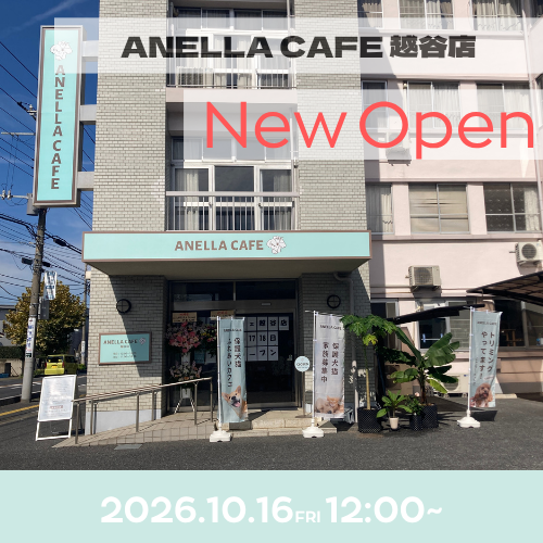 ANELLA CAFE  <p>越谷店</p>
